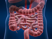 Holistic colon hydrotherapy